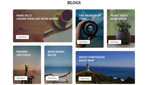 Lifestyle – Multipurpose Blog Widget